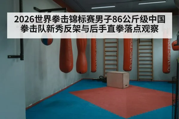 boxing punch training gym