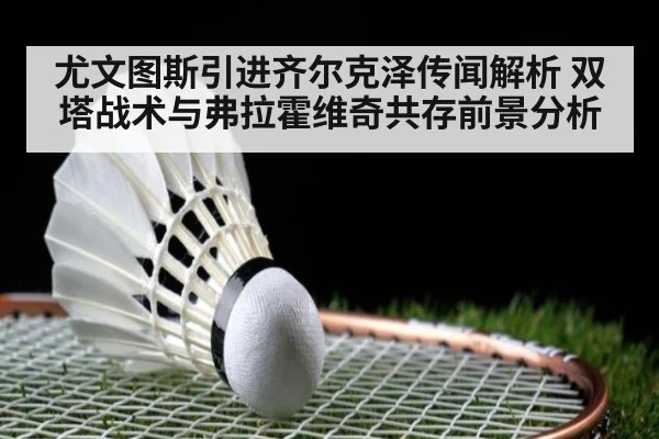 尤文图斯引进齐尔克泽传闻解析 双塔战术与弗拉霍维奇共存前景分析