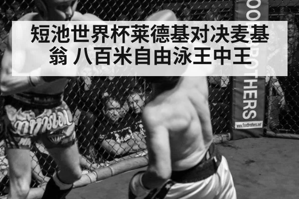 短池世界杯莱德基对决麦基翁 八百米自由泳王中王