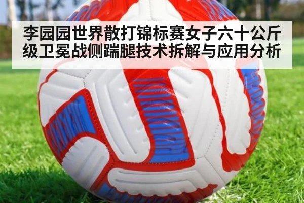 李园园世界散打锦标赛女子六十公斤级卫冕战侧踹腿技术拆解与应用分析
